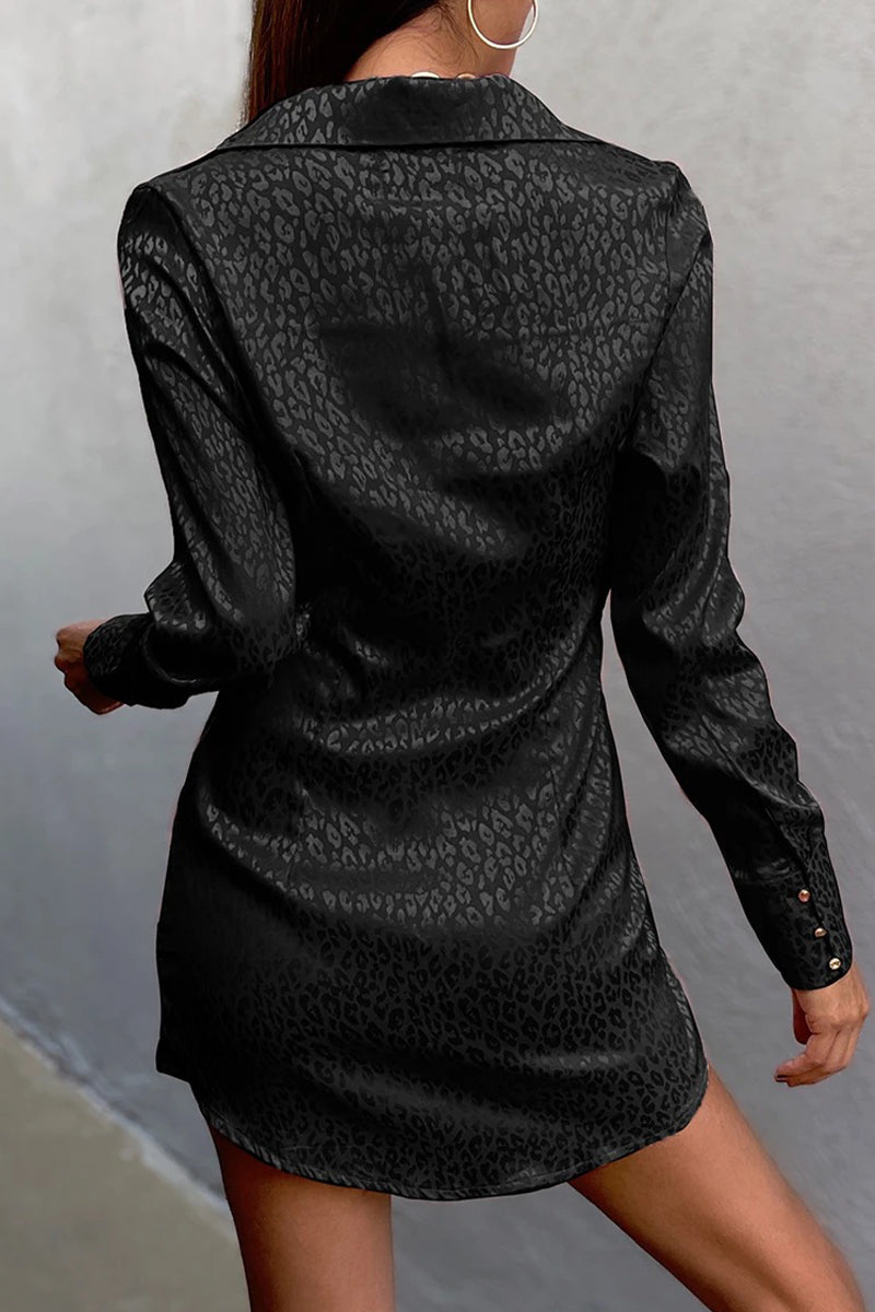 Winifred® | Kleid mit langen Ärmeln und Umlegekragen