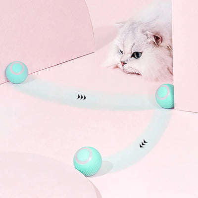 WhiskerWonder | Smartes Katzenspielzeug Elektrische Freude für verspielte Pfoten