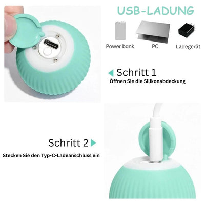 WhiskerWonder | Smartes Katzenspielzeug Elektrische Freude für verspielte Pfoten