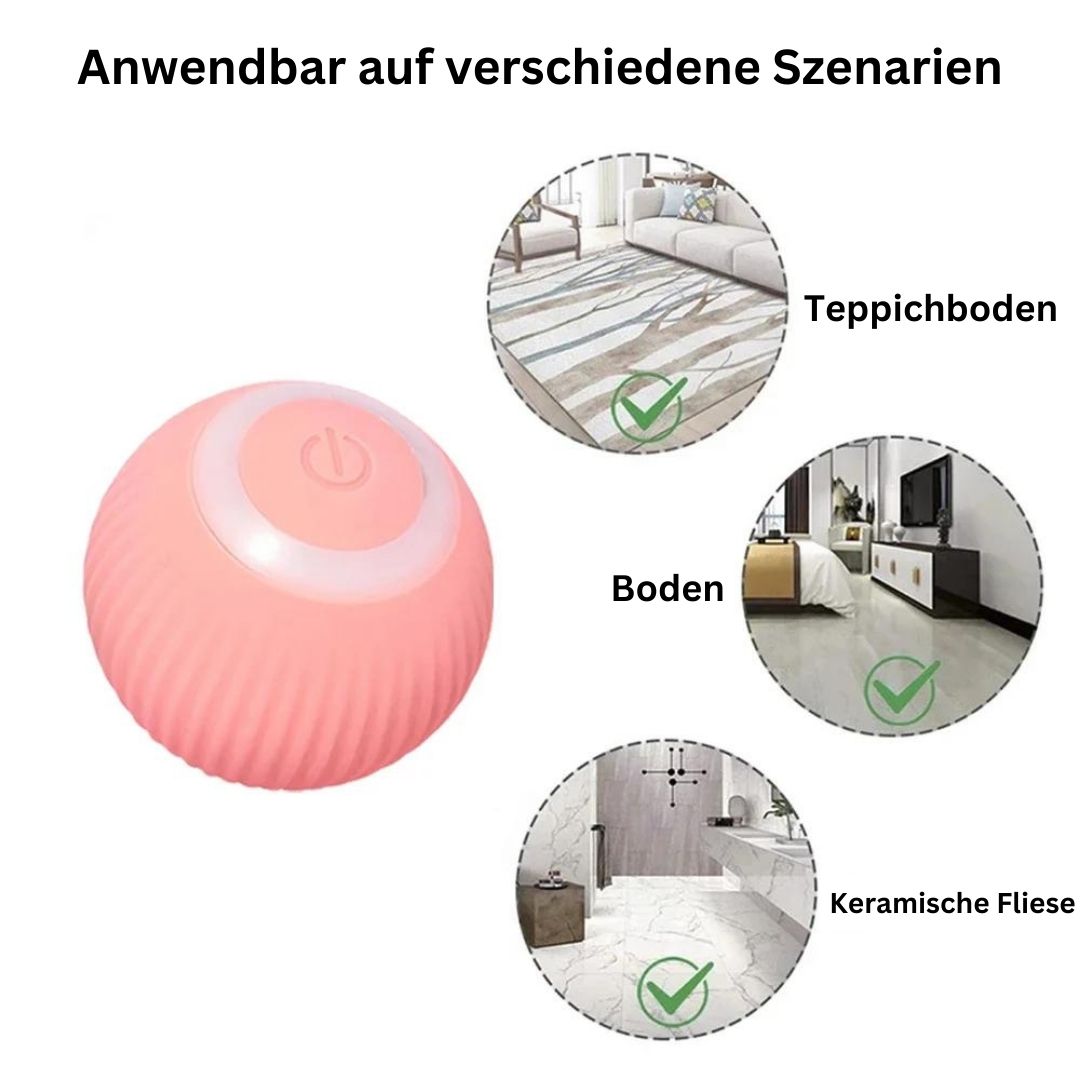 WhiskerWonder | Smartes Katzenspielzeug Elektrische Freude für verspielte Pfoten